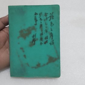封面林题塑料皮笔记本(50开软精装，空白未使用)