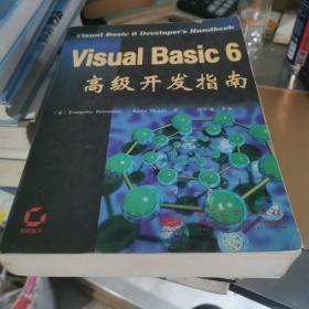 Visual Basic 6高级开发指南
