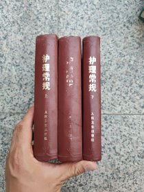 护理常规（精装 上中下）一版一印