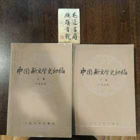 中国新文学史初稿（上、下卷）