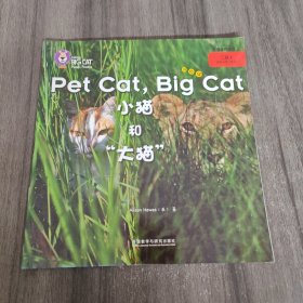 大猫自然拼读二级1 Big Cat Phonics：Pet Cat,Big Cat