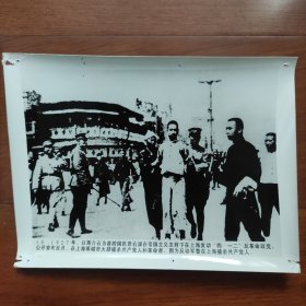 1927年四一二政变后，反动军警在上海捕杀共产党