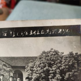 1961年广州第十一中学毕业照片一张，尺寸大