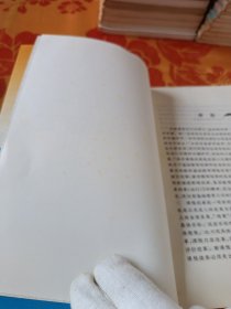 小学数学教学新论