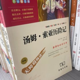 汤姆·索亚历险记