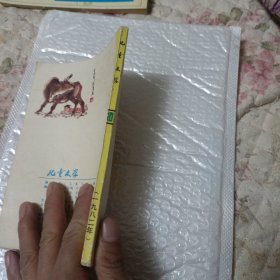 儿童文学（1982年第10期）