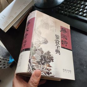 唐宋诗鉴赏全典（精装带护封，武汉大学中国传统文化研究中心策划）