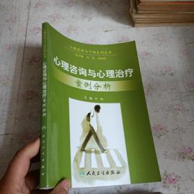 心理咨询与干预系列丛书· 心理咨询与心理治疗案例分析