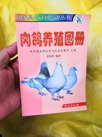 肉鸽养殖图册（品相非常好没有章印笔记干干净净）