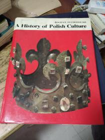 BOGDAN SUCHODOLSKI A History of Polish Culture（波兰文化的历史）【8开精装本】