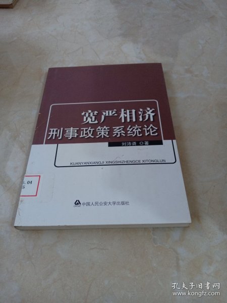 宽严相济刑事政策系统论