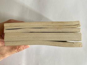 外国文学名著连环图画(全五册)茶花女等五部