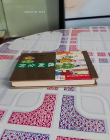 精装正版:《魏阉全传》（中国古典小说名著百部之一，注音释义绣像人物表，1995年1月北京1版1印，个人藏书，品好无写画。）