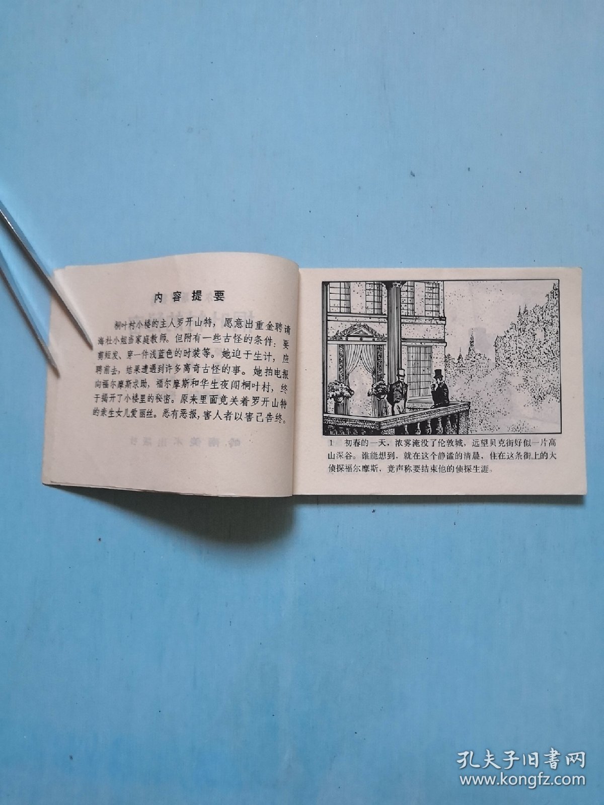 桐叶邨的秘密