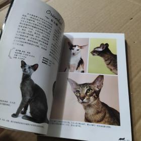 猫(精选48种世界名猫，高清美图，揭示纯种猫鲜为人知的历史）