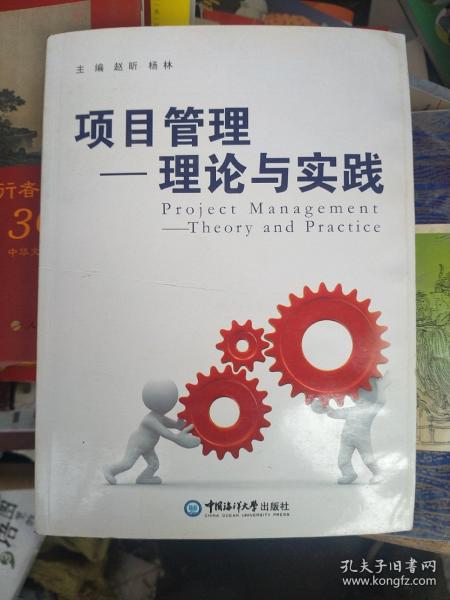 项目管理 : 理论与实践