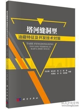 塔河缝洞型油藏特征及开发技术对策