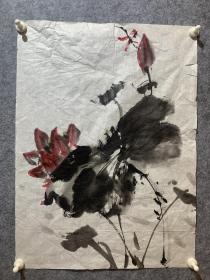 无款荷花，48*35厘米#230508001
