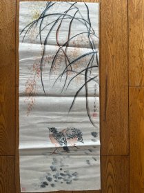 老字画 八九十年代 八十年代 孙继英国画精品 鹌鹑 三尺软片未裱