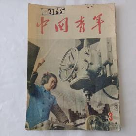 中国青年（1954－3）
