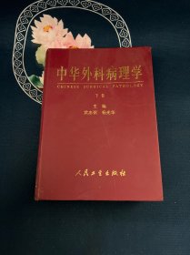 中华外科病理学（下）