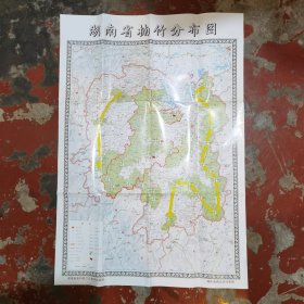 湖南省楠竹分布图