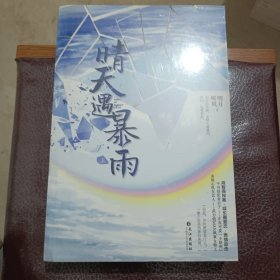 晴天遇暴雨（全二册）（限量签名本（精美特签随机掉落）快来晒晒你的幸运值，随书附赠“晴天&暴雨”双书签，精美“遇见”海报。）