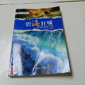 碧海狂啸 : 可怕的海洋灾害