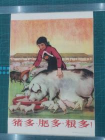 1960年一版一印《猪多肥多粮产高》老宣传画 一张