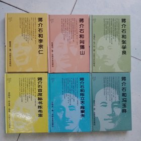 蒋介石政治关系大系