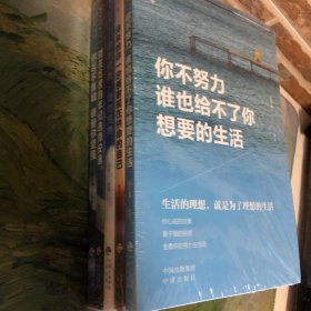 【正版·全５册】致奋斗者-你不努力谁也给不了你想要的生活+将来的你一定感谢现在拼命的自己+余生很贵，请勿浪费+别在吃苦的年纪选择安逸+你若不勇敢谁替你坚强