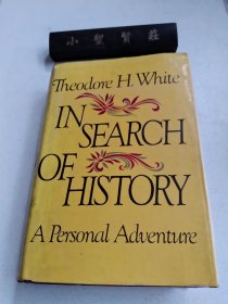 In Search of History： A Personal Adventure