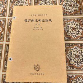 魏晋南北朝史论丛:外一种