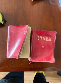 两本品相一般的选集，一共35元。