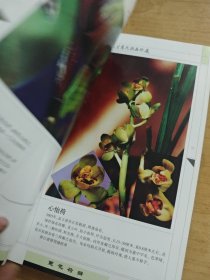中国春兰蕙花新品珍藏
