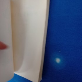 哈克贝里。芬厉险记