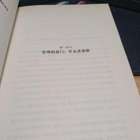 部落的力量：从抱怨、推诿、拖延的庸碌之师到充满激情、能量、想象力的非凡团队