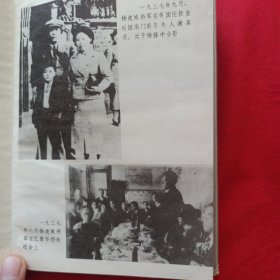 杨虎城将军欧洲之行