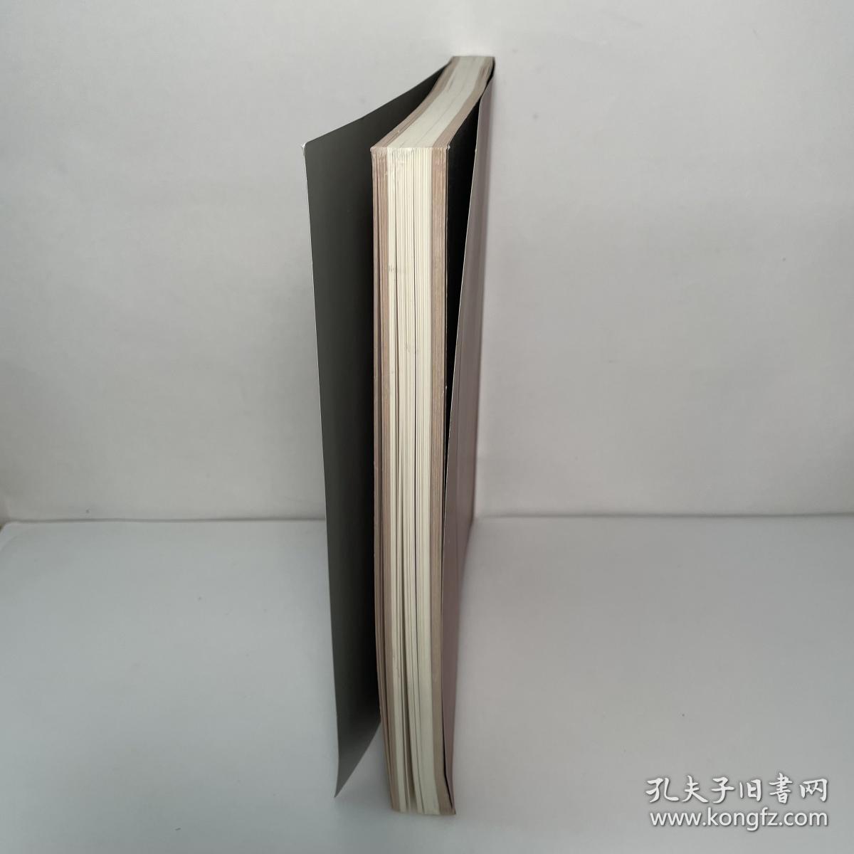 文艺复兴时期绘画: 布达佩斯美术馆藏品 日文原版画集 英文·英语原版 Renaissance Paintings from the Budapest Museum of Fine Arts ルネサンスの絵画 ハンガリー国立ブタベスト美術館所蔵 芸術・美術・艺术 図録・画集 布达佩斯美术馆