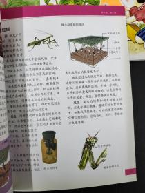 小牛顿科学王（全8册）：神奇的电与磁、奇趣植物园、认识大自然、鲜花朵朵、空气、阳光与水、养一养，做一做、动物王国、光宇声音【8本合售