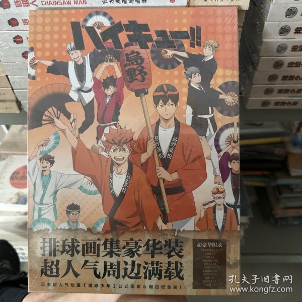 排球少年！！ 2：最高处的风景