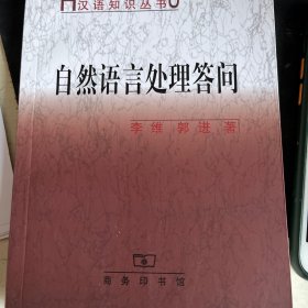 自然语言处理答问(汉语知识丛书)