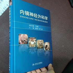 内镜神经外科学