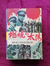 燃烧的太阳：国民党正面战场抗战纪实