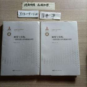 制度与实践：一流研究型大学科教融合研究/高等教育与社会发展论丛