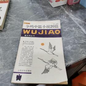 爭鳴中篇小說20篇：五角叢書·第四輯