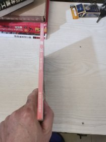 腾飞——（惠阳）新墟之光