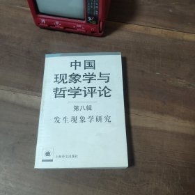 中国现象学与哲学评论：发生现象学研究 图6－11污渍。