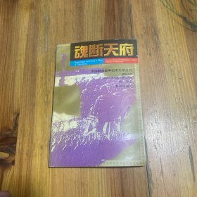 魂断天府:蒋介石在大陆最后时刻