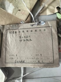付家莊大隊革命委員會第二生產隊財務帳本1969.1-12月